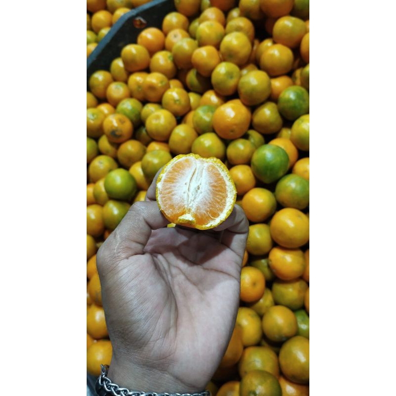 

Jeruk Madu Malang Mini 1kg - Toko Buah Darto Jaya