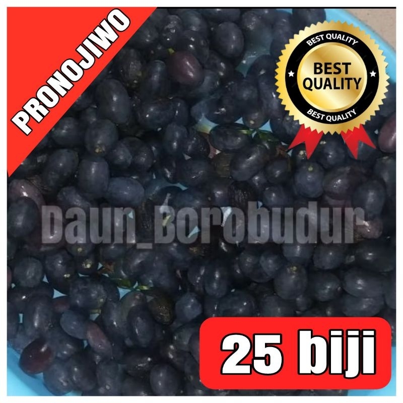 

biji Pronojiwo segar