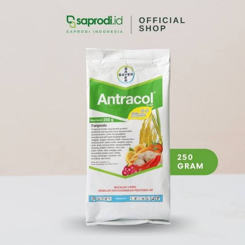 Fungisida Antracol 70 WP 250 Gram