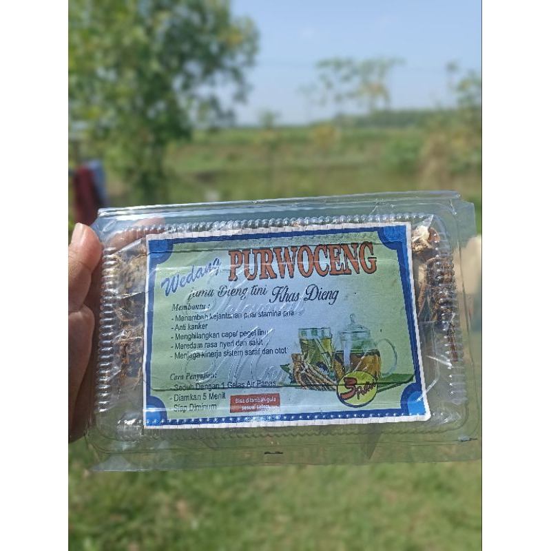 

Wedang Purwoceng Khas Dieng (isi 10 Sachet) I Stamina Pria
