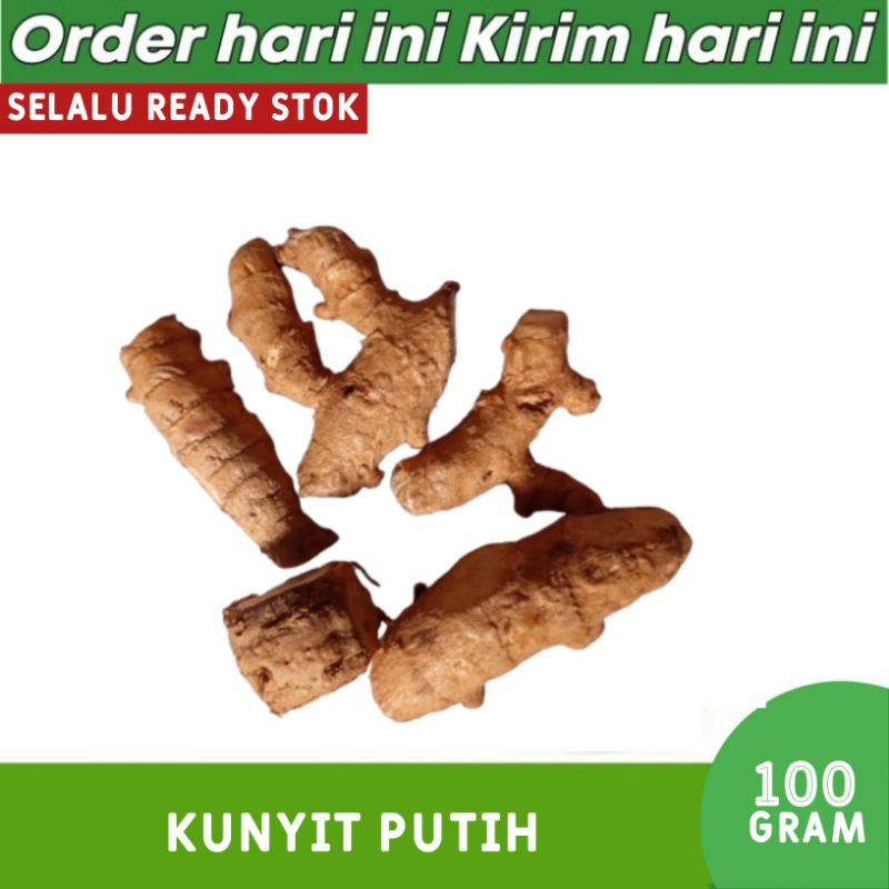 

KUNYIT PUTIH 100 GRAM EMPON EMPON REMPAH FRESH