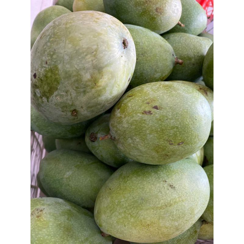 

Mangga Manalagi Berat 1 Kg