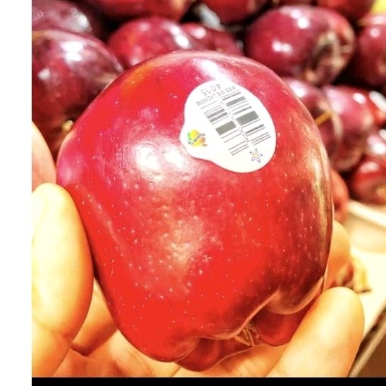 

buah apel red usa premium quality /kg