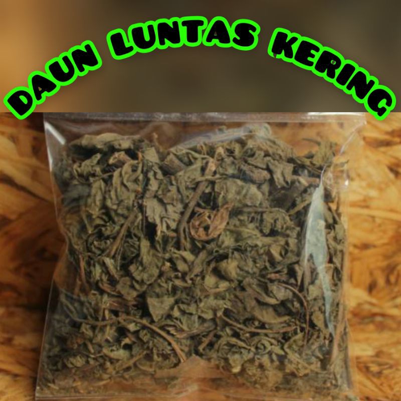 

Daun beluntas kering / Daun luntas herbal