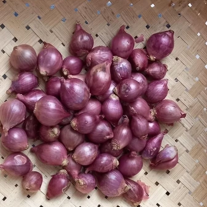 

BAWANG MERAH CAMPURAN KECIL DAN SEDANG/BUMBU DAPUR/PENYEDAP RASA/COD