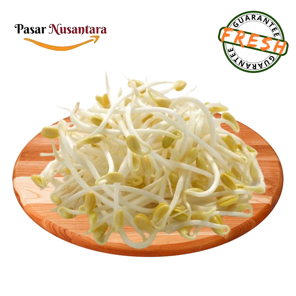 

Kecambah toge tauge 100 gram - Pasar Nusantara