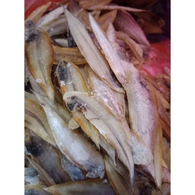 

ikan asin lidah/ilat-ilat 1kg 37000