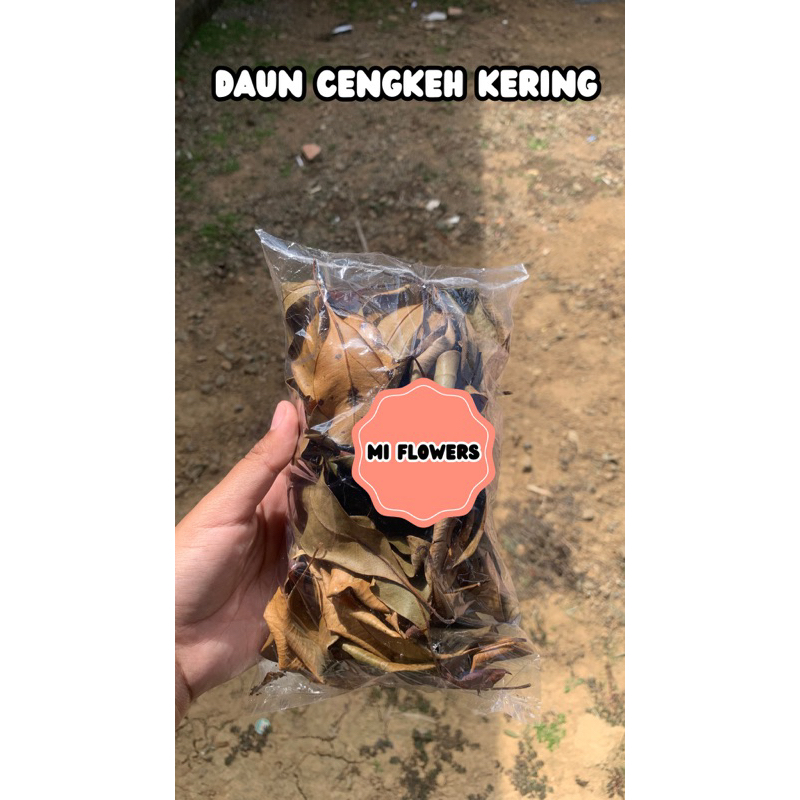 

Daun Cengkeh kering Herbal Alami Expor - Miflowers