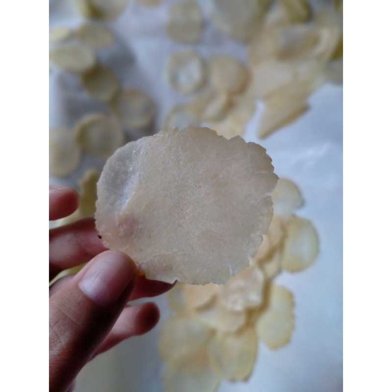 

TERMURAH!! EMPING MELINJO MENTAH KHAS LIMPUNG 500GR