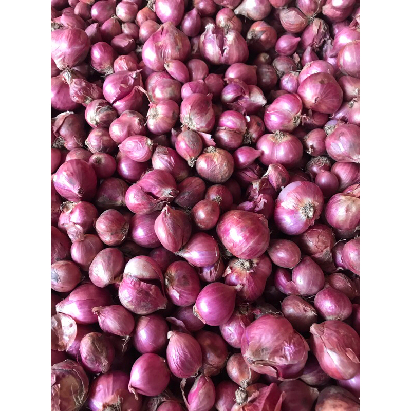 

Bawang merah super 1kg