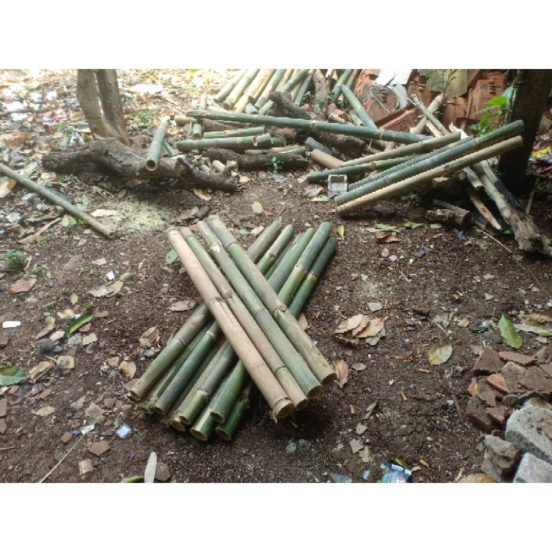 Bambu bulat utuh panjang 1 meter