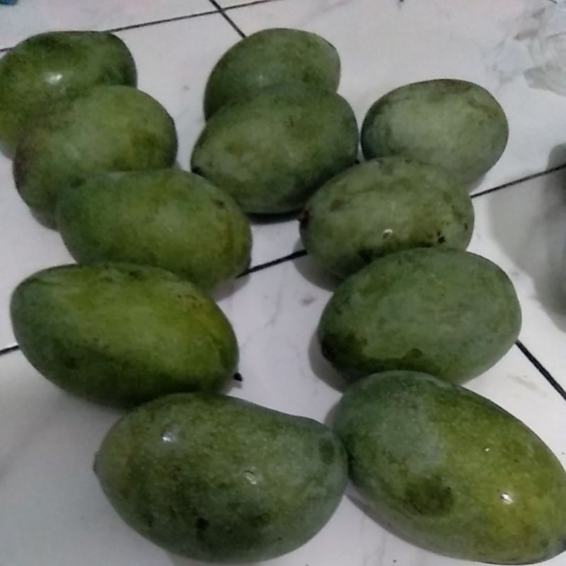 

Mangga madu manalagi 1kg