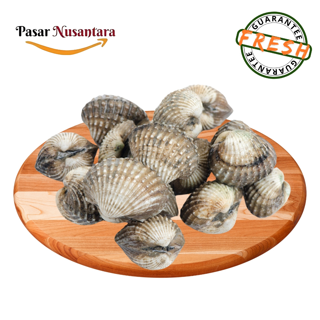 

Kerang dara 1 kg - Pasar Nusantara