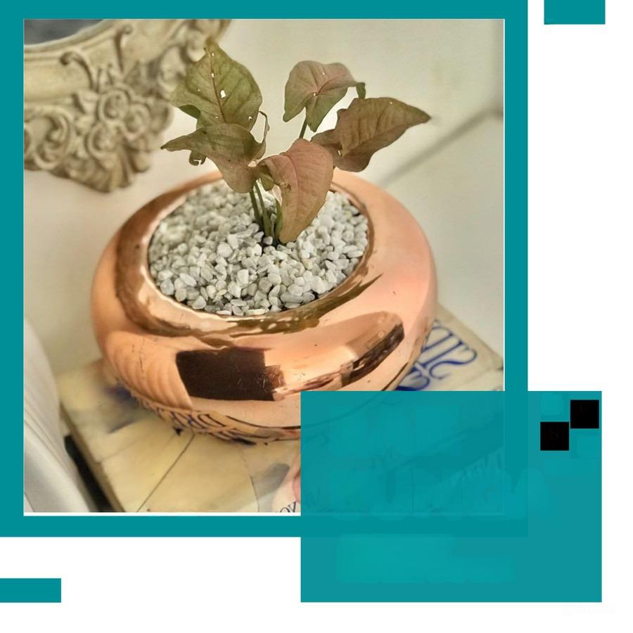 JUAL POT, VAS BUNGA BAHAN TEMBAGA KUNINGAN