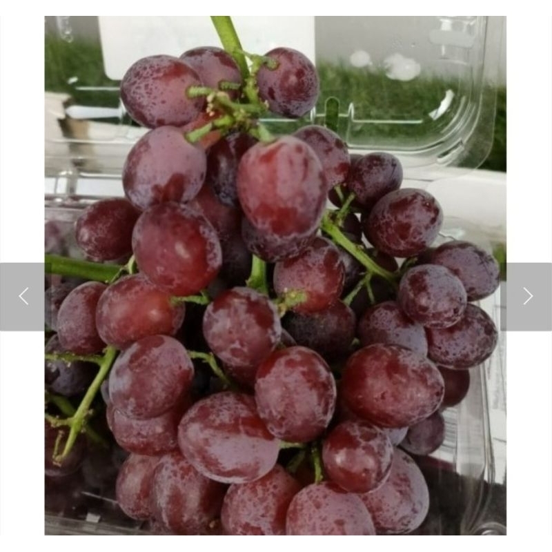 

Anggur Candy Snap Heart Grape 500 grm