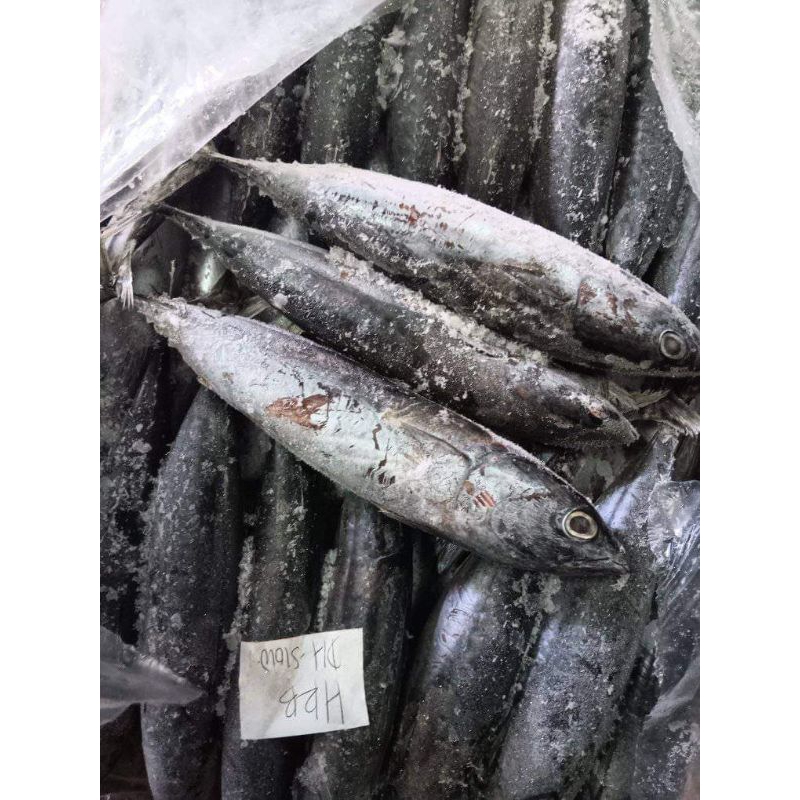 

Ikan Tongkol Deho RJ Fish 10kg