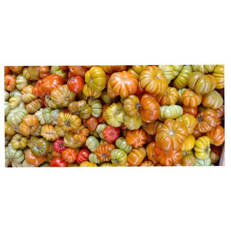 

Tomat Keriting 8.000 Per/Kg Makassar