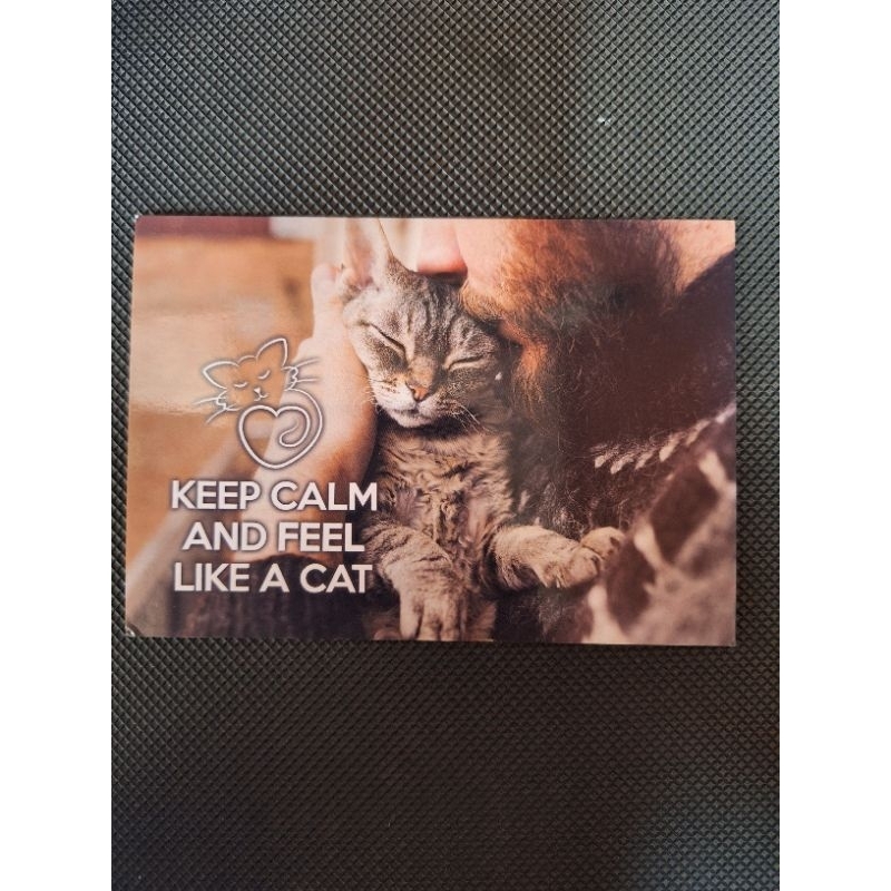 

kartu pos keep calm cat kucing postcard