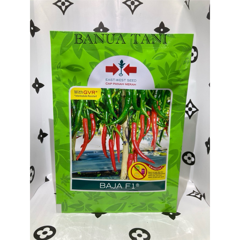 

BENIH BIBIT CABE BESAR BAJA F1 ISI 1.500btr