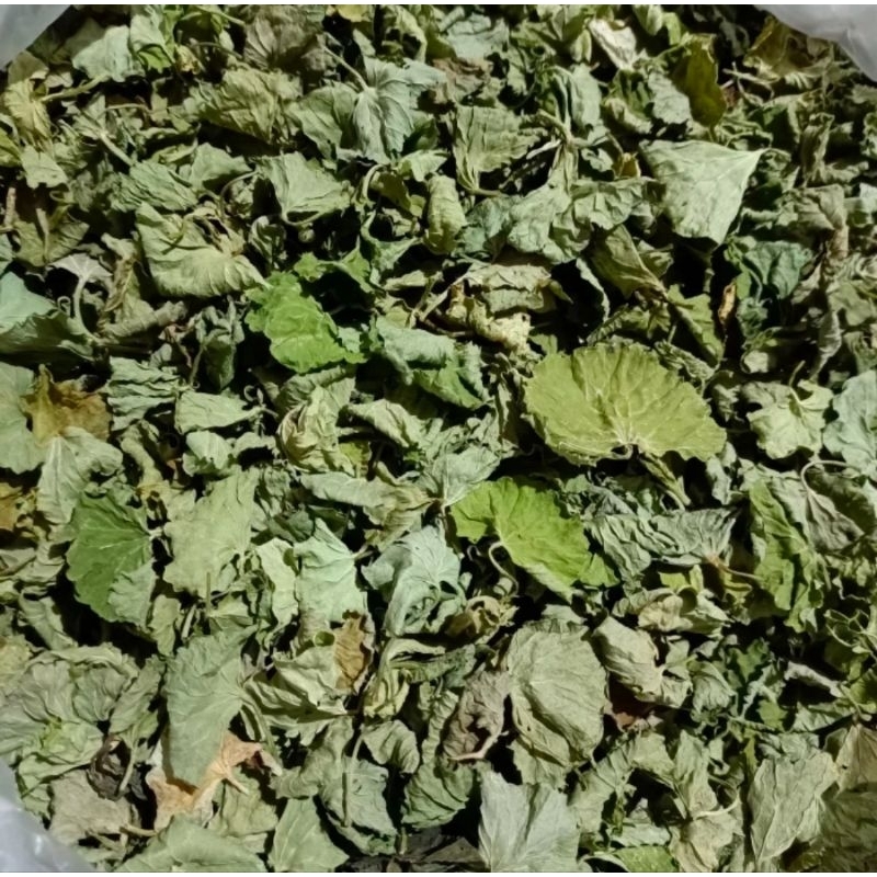 

daun pegagan kering 1kg