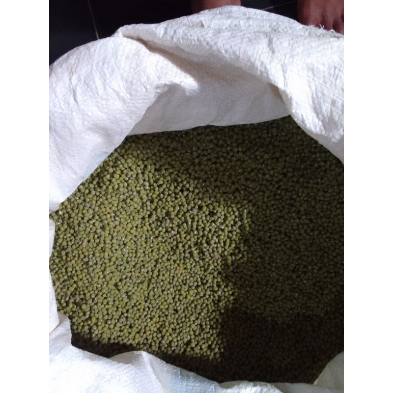 

kacang hijau 1 kg
