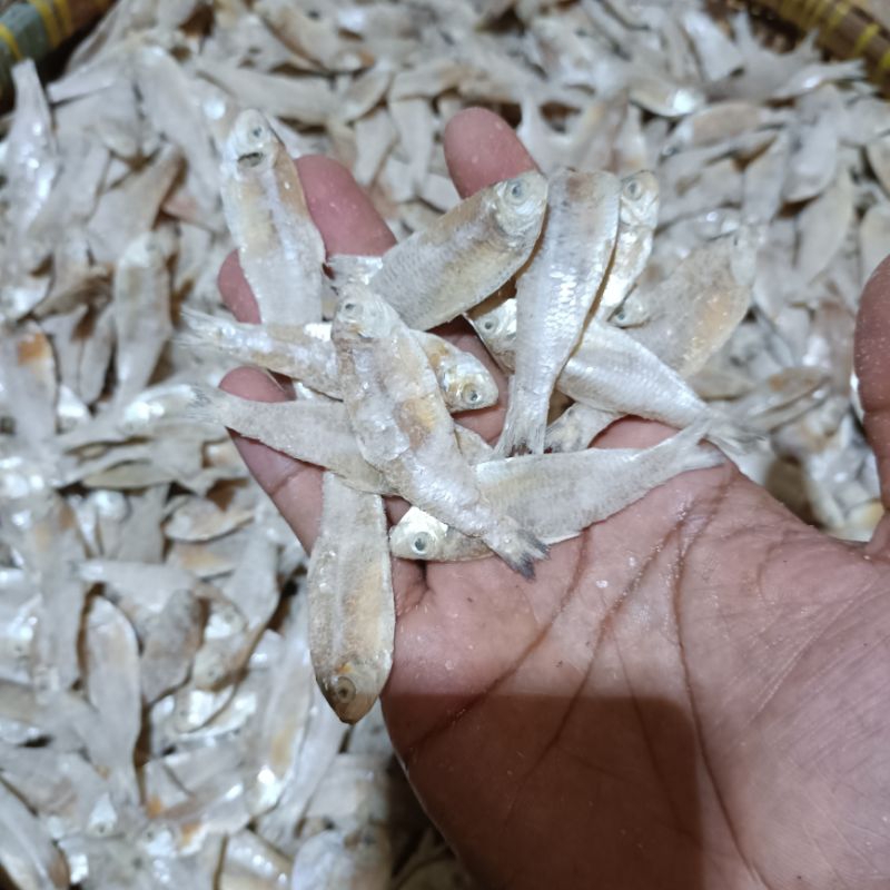 

kelapan kering NT.1000gr . ikan asin kelapan super pilihan