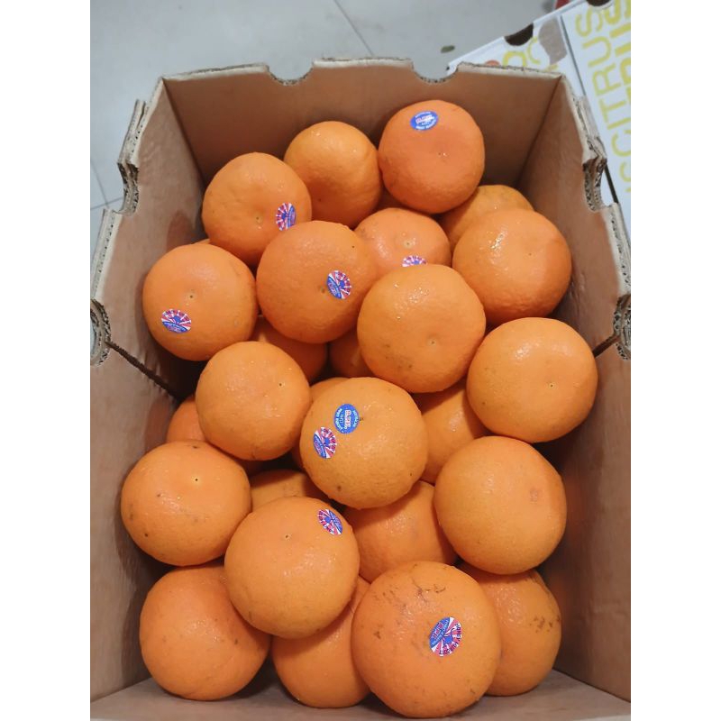 

Jeruk Citrus KUALITAS TOP HARGA MANTAP 1Kg