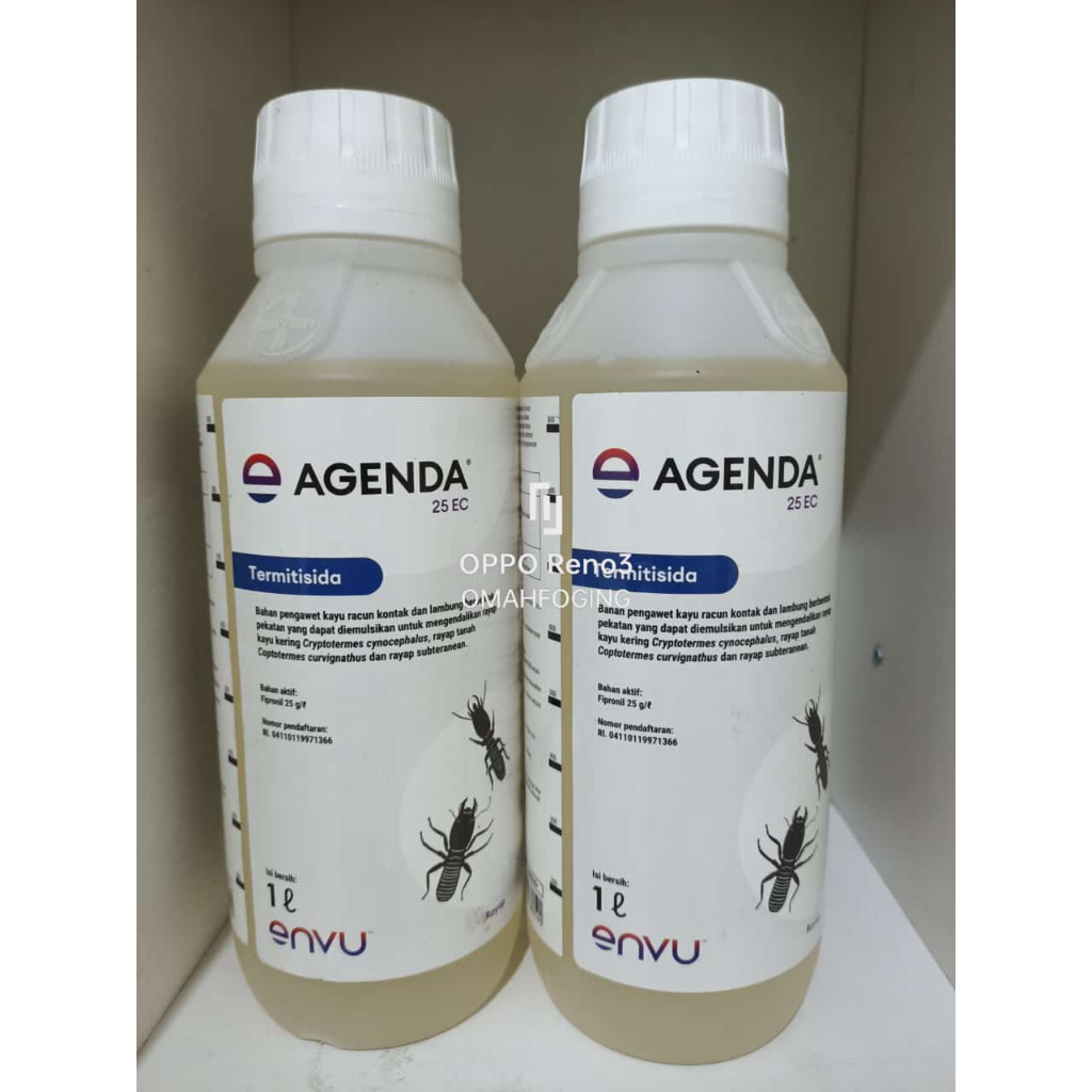 Agenda 25 EC pembasmi hama rayap