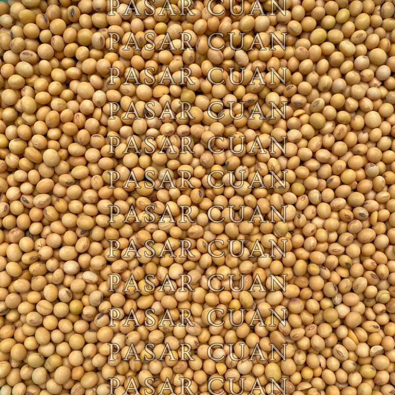 

5 kg Kacang Kedelai Utuh - Whole Yellow Soybean