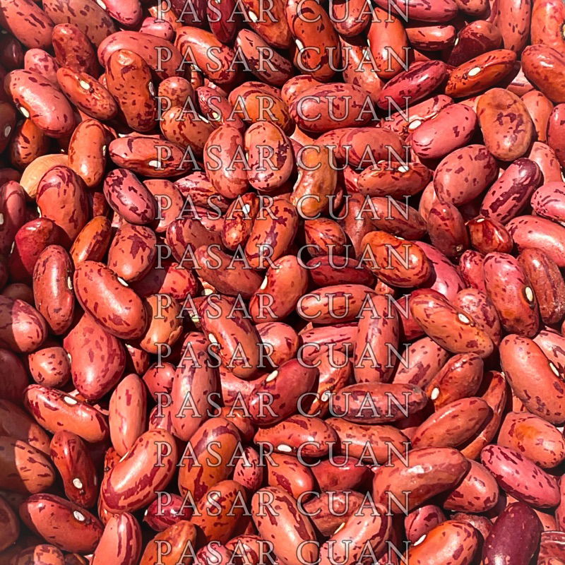 

5 kg Kacang Merah Jogo - Red Bean