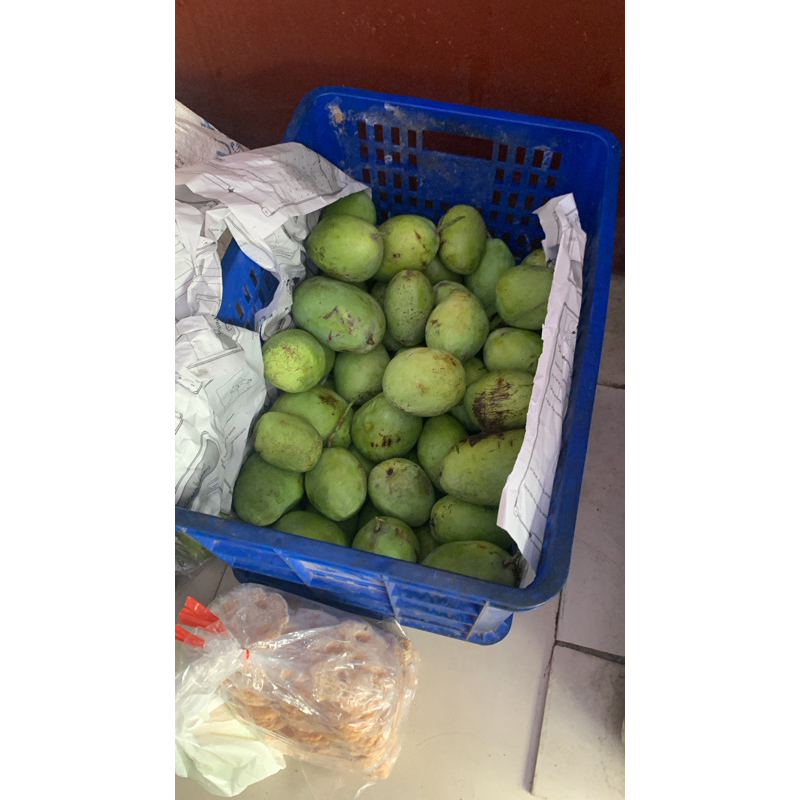 

Mangga Indramayu/ Mangga Dermayu