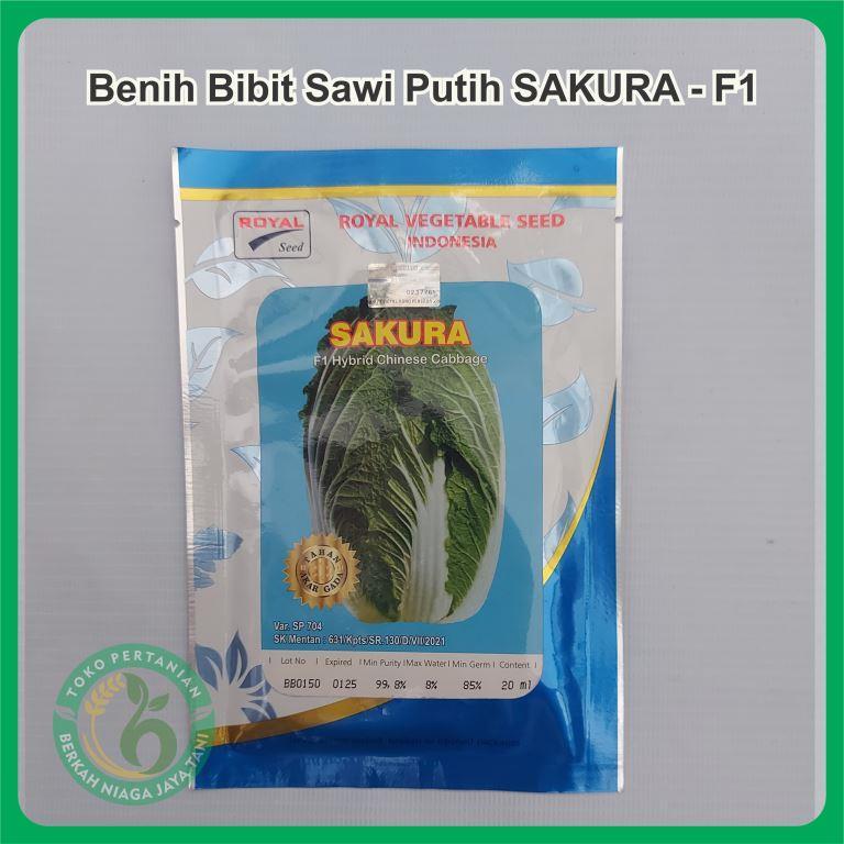 Benih Bibit Sawi Putih SAKURA - F1 Hybrid Chinese Cabbage / bibit sawi putih / biji sawi putih