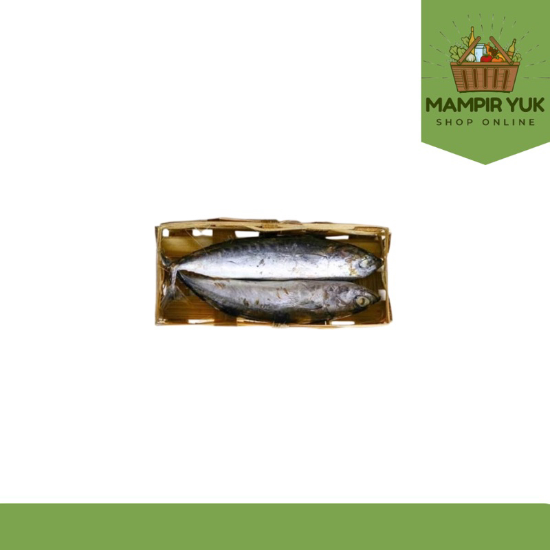 

Ikan tongkol 2 pcs | mampiryuk