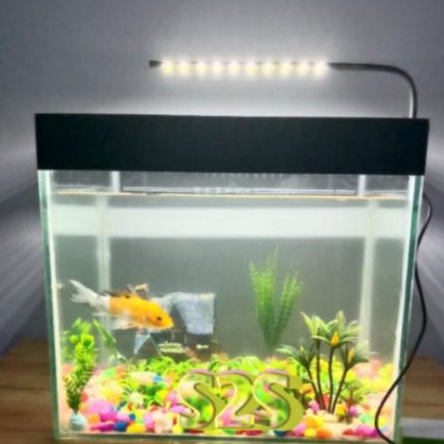 Grosir Irit  Lampu Aquarium Lampu kerja lampu Meja belajar lampu cupang chana soliter mini