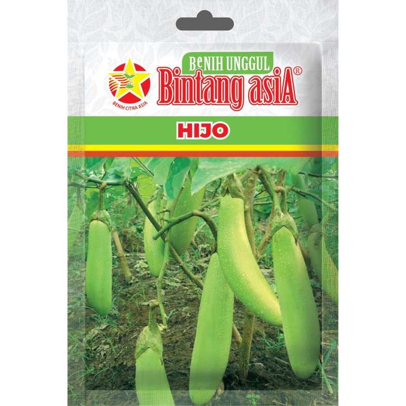 Benih Terong HIJO (10 Gram) - Bibit Terong Hijau Bintang Asia