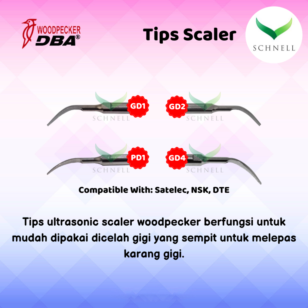 Tip Scaller Woodpecker/Tip/Tips Ultrasonic Scaler (Per Pcs)