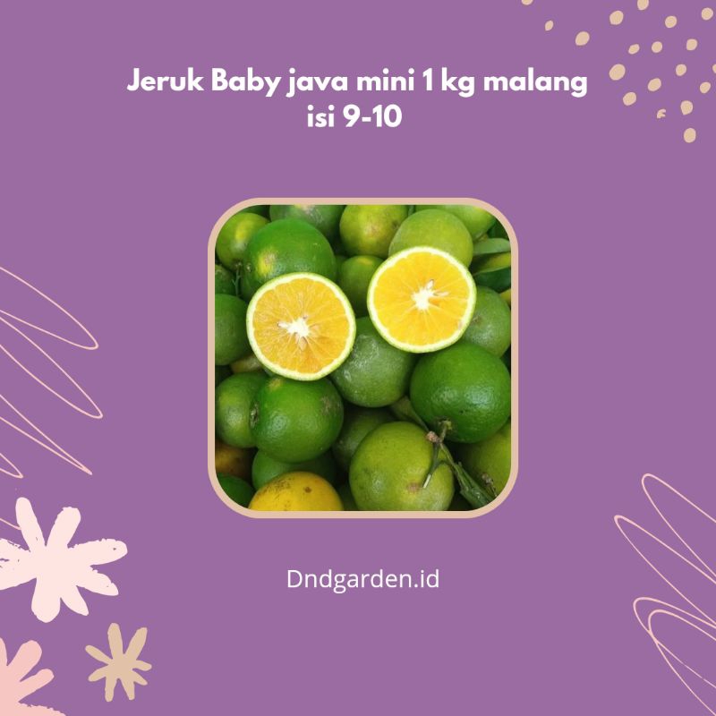 

jeruk baby java / baby pacitan / jeruk peras 1 kg malang batu