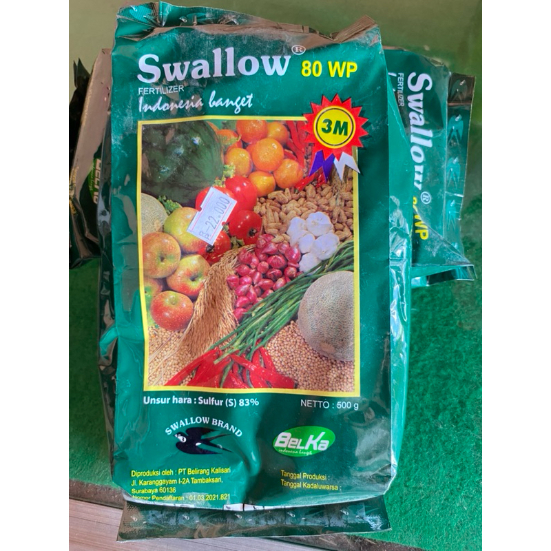 swallow 80wp 500gr