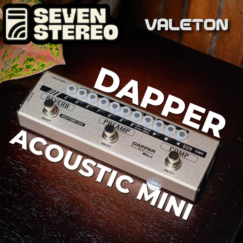 Valeton Dapper Acoustic Mini Effect Strip