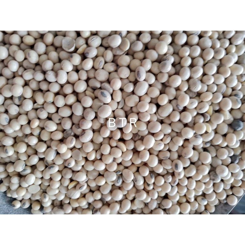

Biji Kedelai Amrik(A) 250g. Soybean seed.