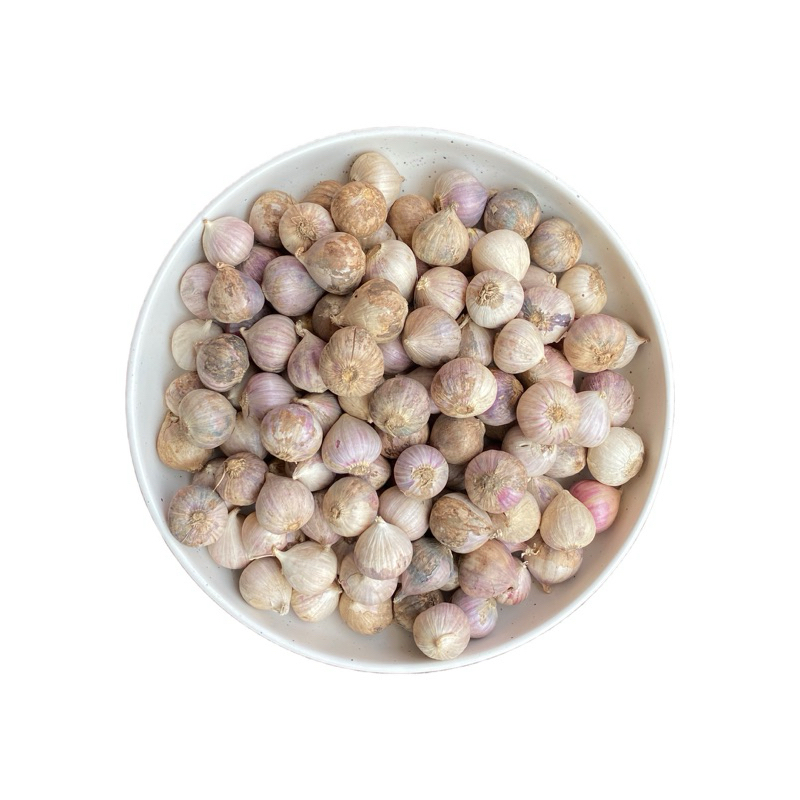 

Bawang Putih Tunggal/ Bawang lanang Uk Sedang 1kg