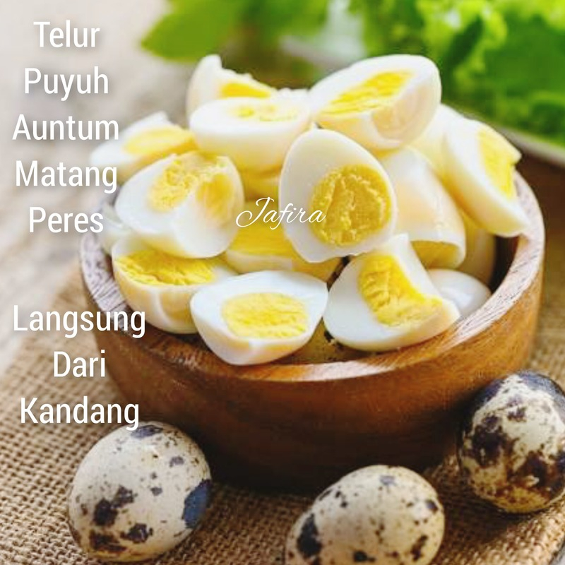 

60 BUTIR/ TELUR PUYUH AUNTUM MATANG OMEGA 3 LANGSUNG DARI KANDANG