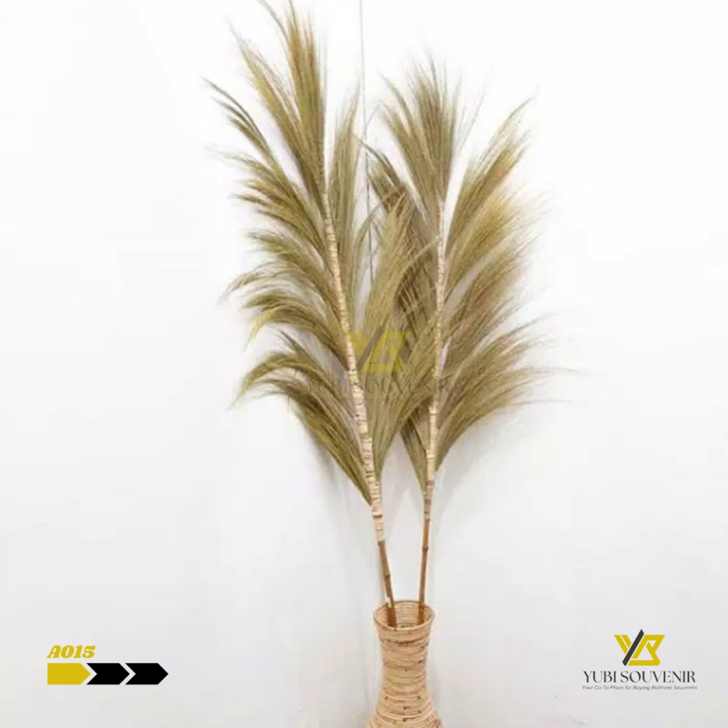 [COD] Yubi Souvenir Rayung Kering/Rayung Natural/Rayung Rustic/Dekorasi Rustic Rayung Pampas
