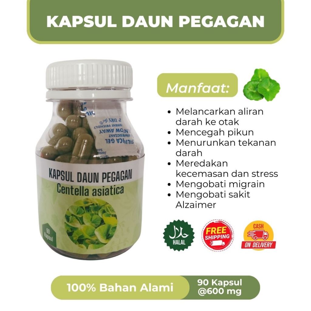 

KAPSUL PEGAGAN Isi 90 Kapsul(@600 mg) | Kapsul Ekstrak Daun Pegagan Murni 100%