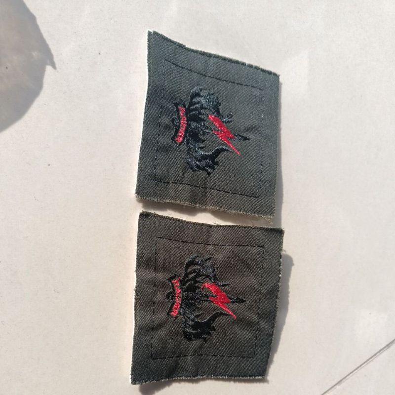 [READY STOK] LANGSUNG KIRIM brevet RAIDER PDL TNI AD BORDIR