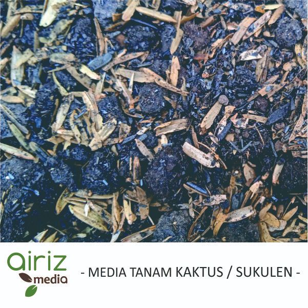 Media Tanam Kaktus dan Sukulen Siap Pakai