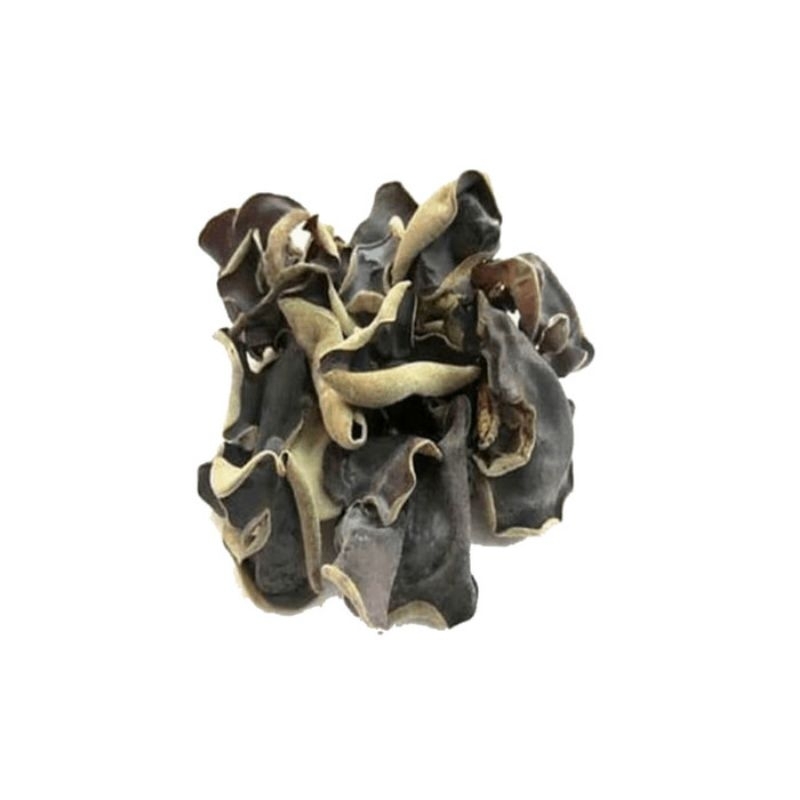 

Jamur Kuping Kering Premium Grade A