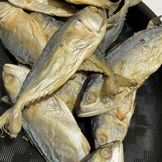 

Ikan Peda asin 120gr-140gr