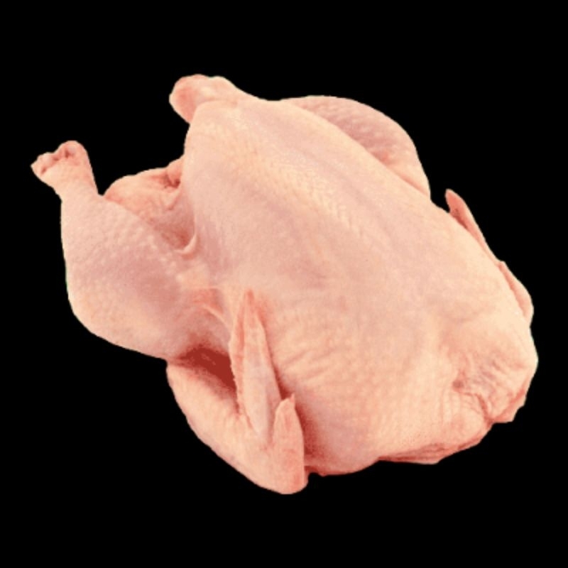 

Ayam Broiler 1 Ekor 800 - 900 gram, Termurah