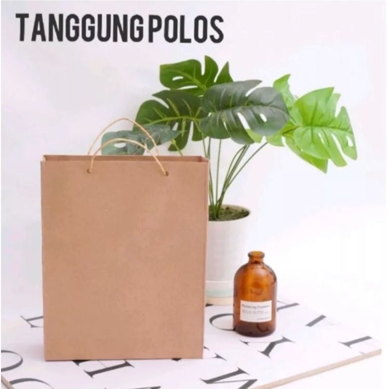 

50 PCS PAPERBAG POLOS 21X16X7